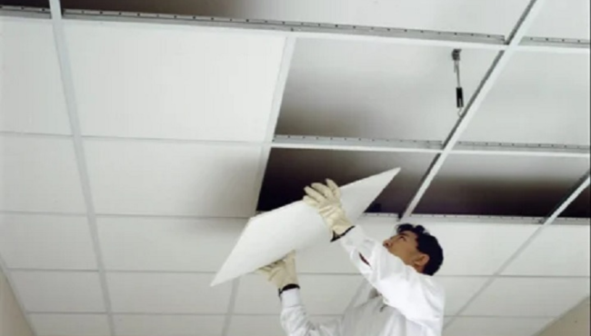 Gypsum Ceiling Board
