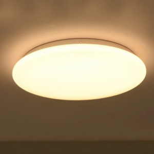 LED Ceiling Light