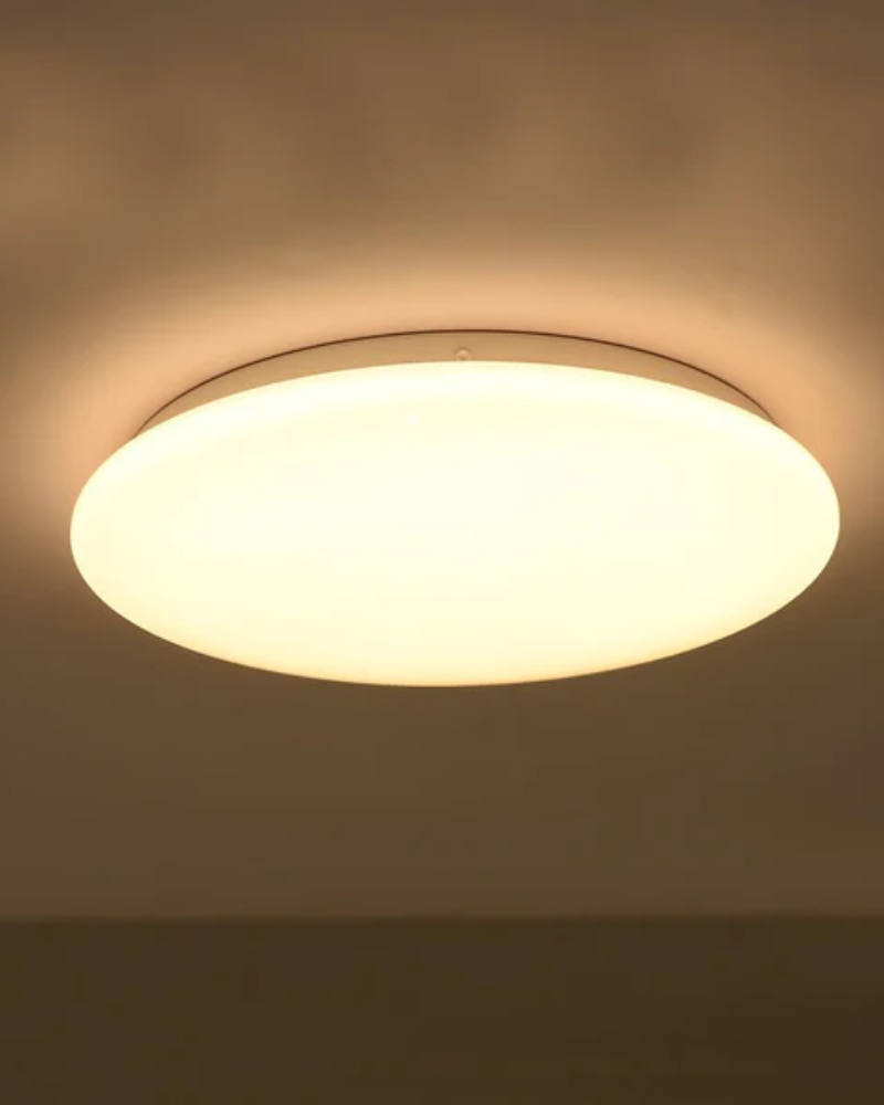 LED Ceiling Light