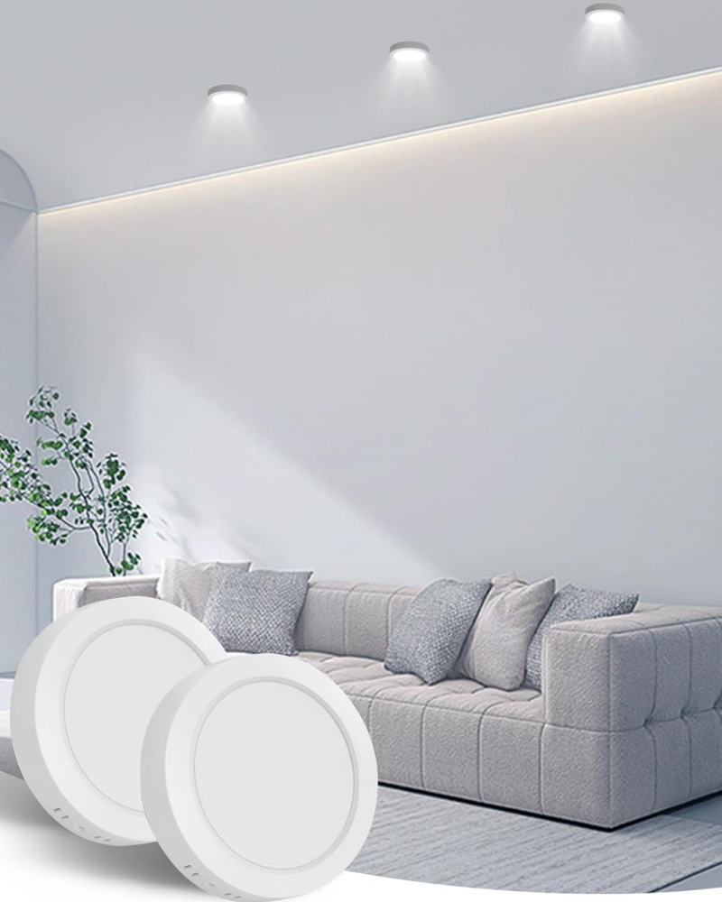LED Ceiling Light