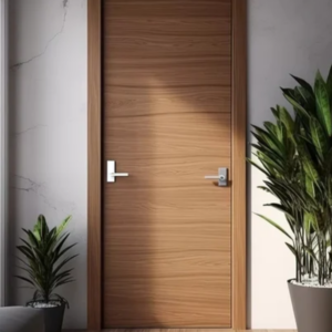 Laminated Interior Door