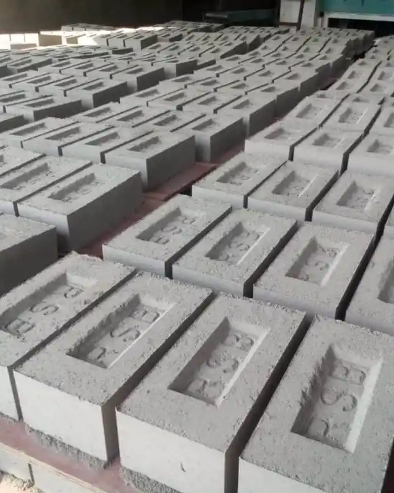 Fly Ash Brick